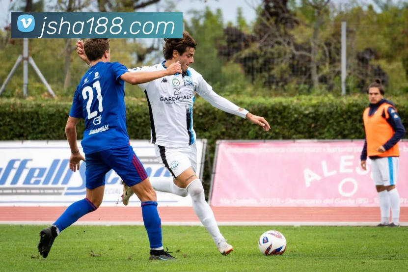 金沙娱乐官网发展历程